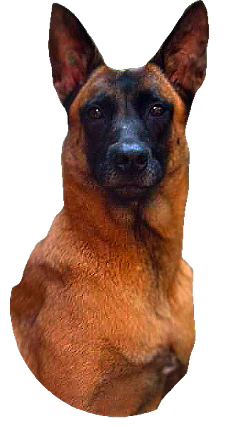 BELGA MALI 2OkK
